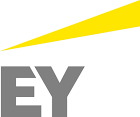 EY logo 2013